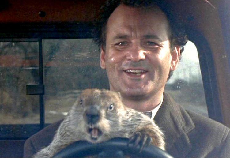 moveegroundhog.jpg
